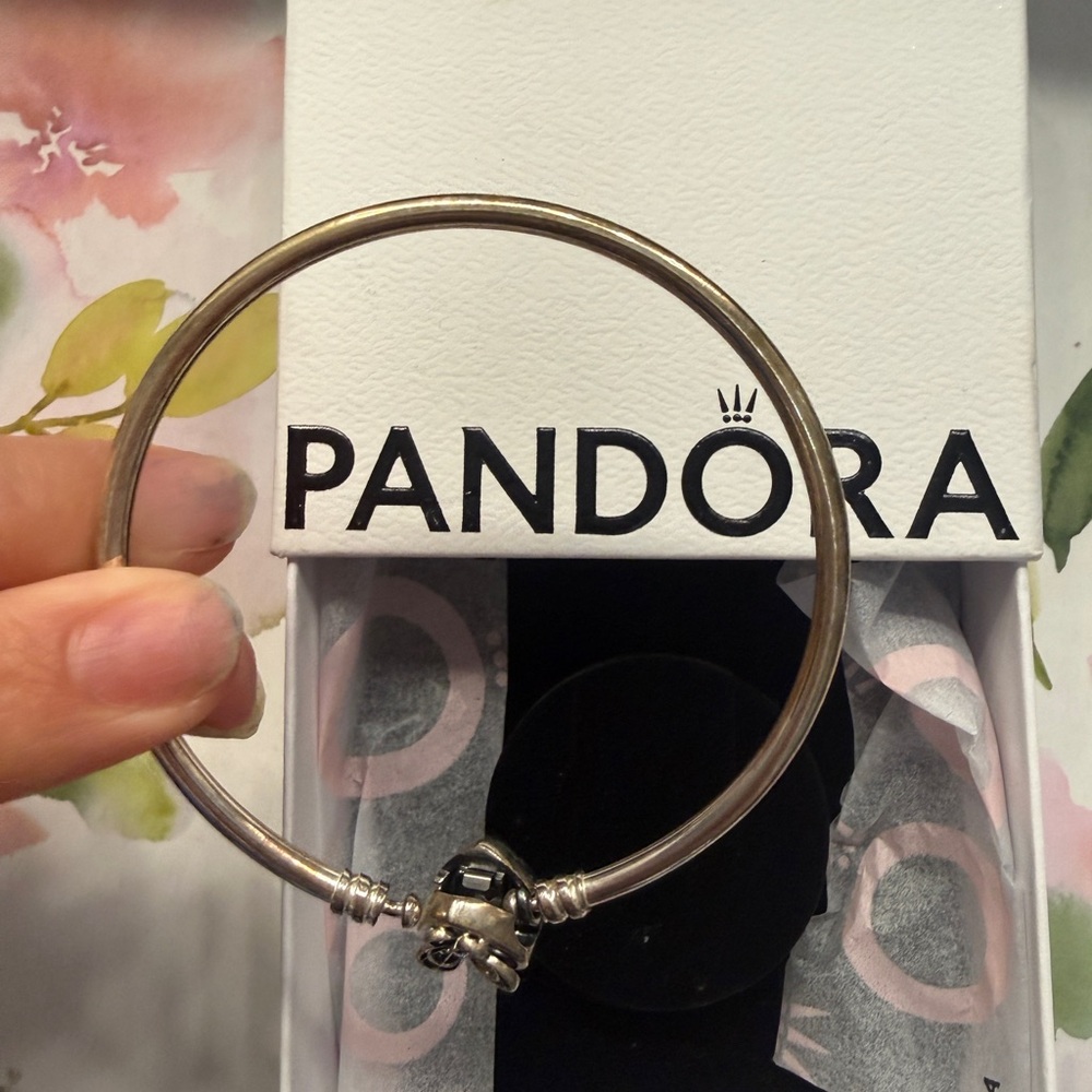 Pandora Silver Charm Bracelet🌸